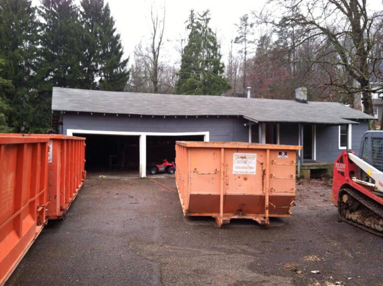 Garage & Greenhouse Remodel - During Demo